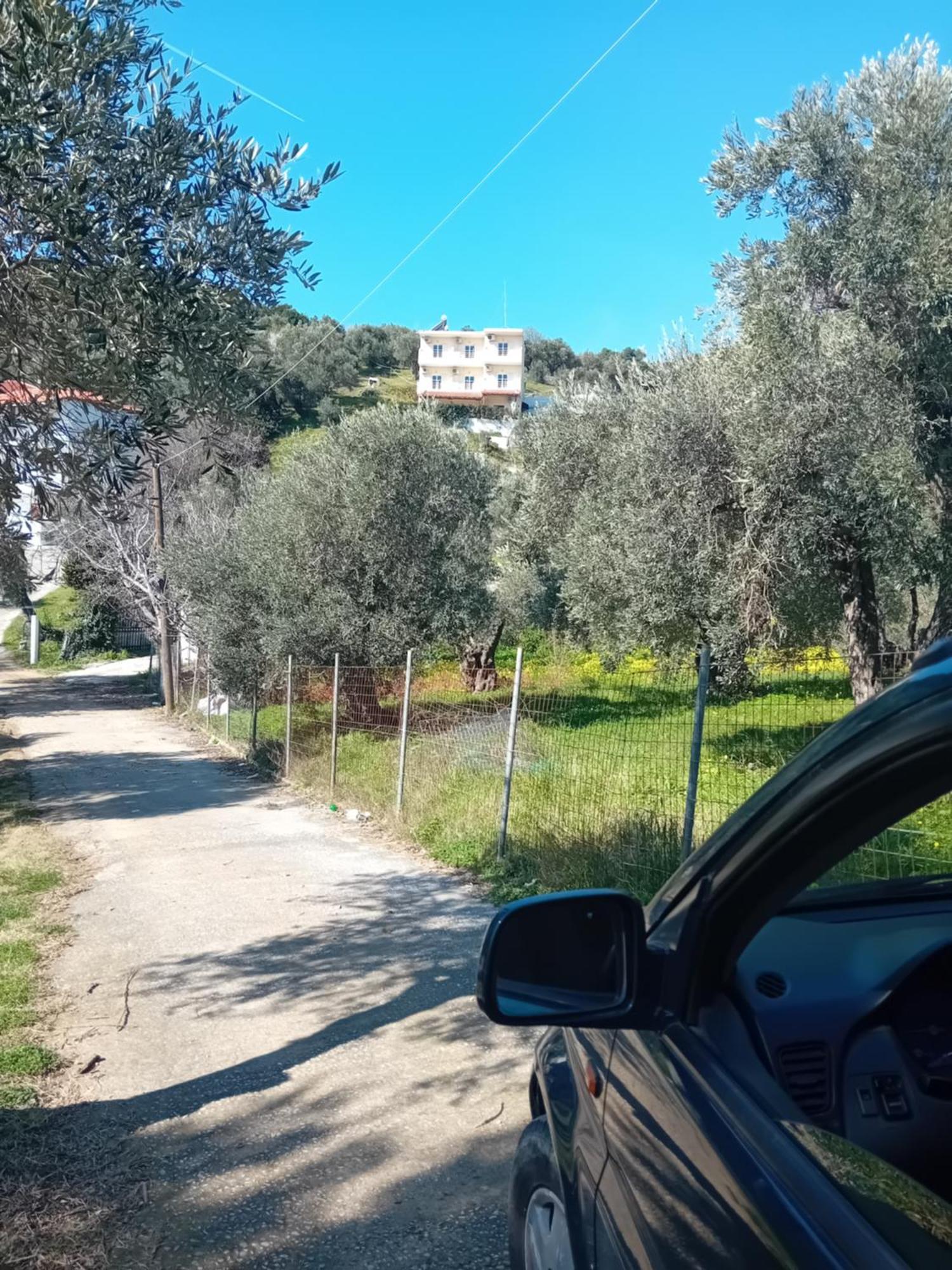 Villa Krini Skiatos Zewnętrze zdjęcie