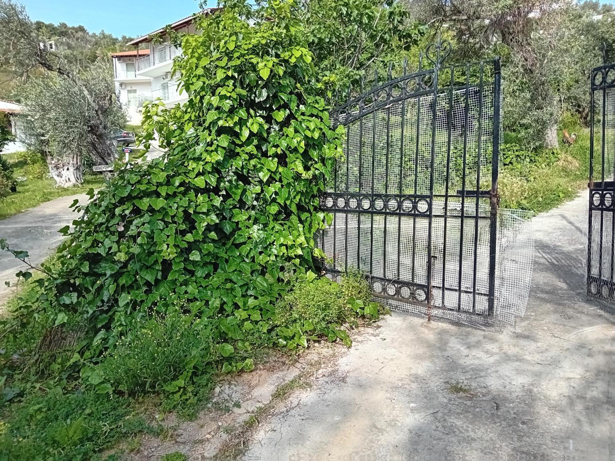 Villa Krini Skiatos Zewnętrze zdjęcie